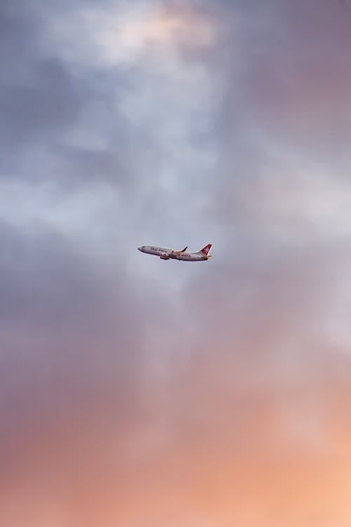 Fotos de stock gratuitas de aeronave, anochecer, avión