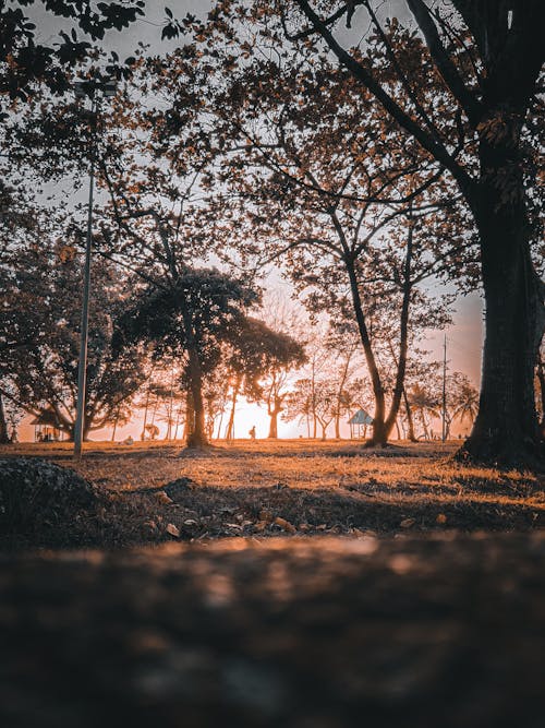 Základová fotografie zdarma na téma nádherný západ slunce, plážový západ slunce, slunce