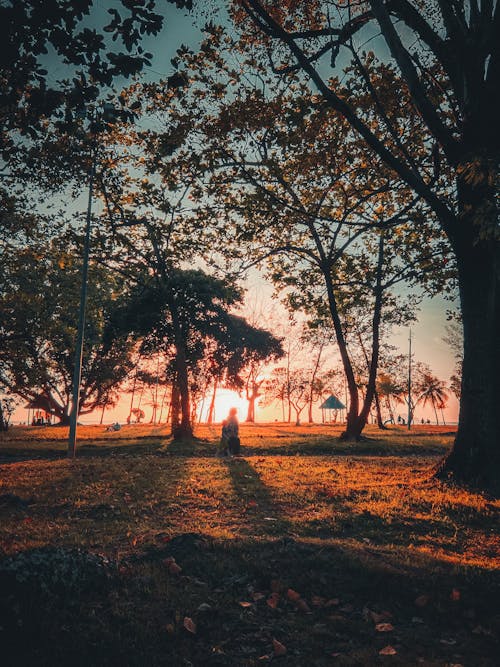 Základová fotografie zdarma na téma krásná obloha, nádherný západ slunce, pláž