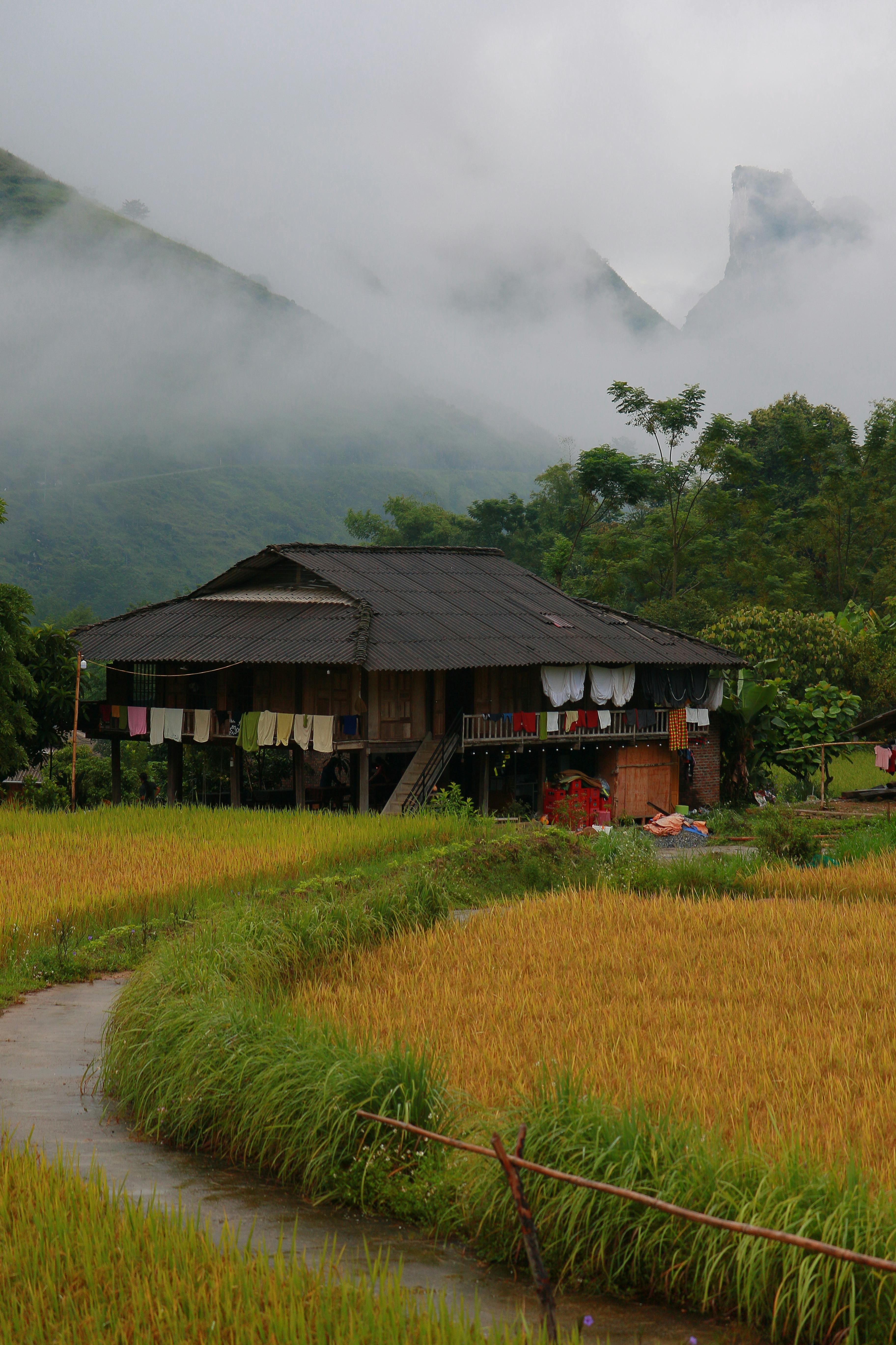 Traditional wooden stilt house in the misty rural landscape of Hà Giang, Vietnam.