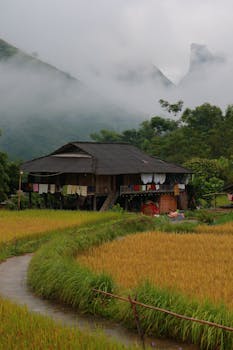 Traditional wooden stilt house in the misty rural landscape of Hà Giang, Vietnam.