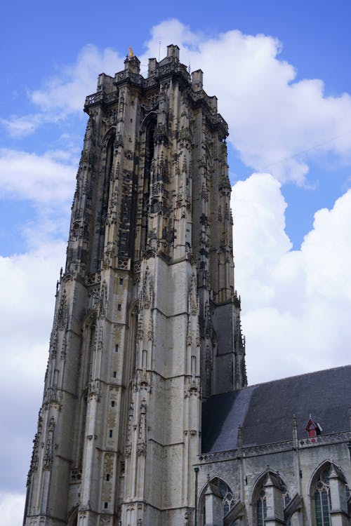 圣朗博尔兹大教堂, 地標, 垂直拍摄 的 免费素材图片