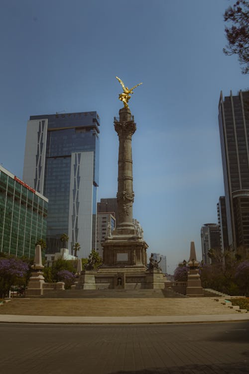 120mm 필름, cdmx, 글로벌의 무료 스톡 사진