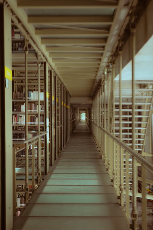 난간, 도서관, 복도의 무료 스톡 사진