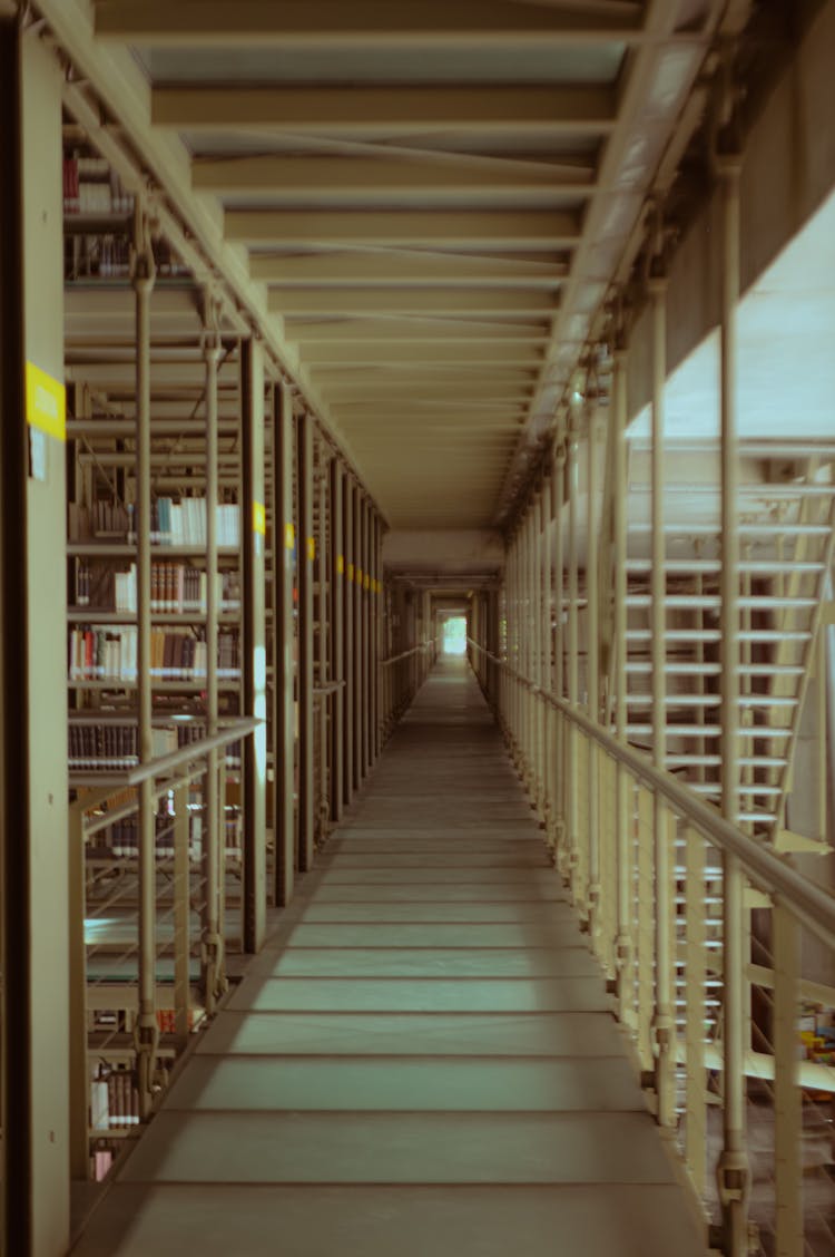 Narrow Corridor With Windows In Library