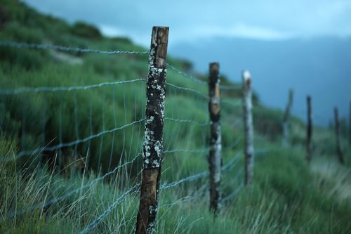 Free Close-up of a barbed wire fence amidst lush green grass on a tranquil day outdoors. Stock Photo