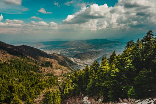 Foto stok gratis awan, bukit, hutan