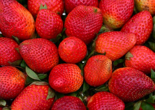 Kostenloses Stock Foto zu aufsicht, erdbeeren, frisch