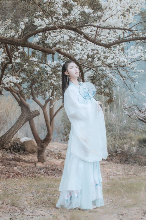 Free An Asian woman in a traditional dress holding a fan under a blooming tree in a garden. Stock Photo
