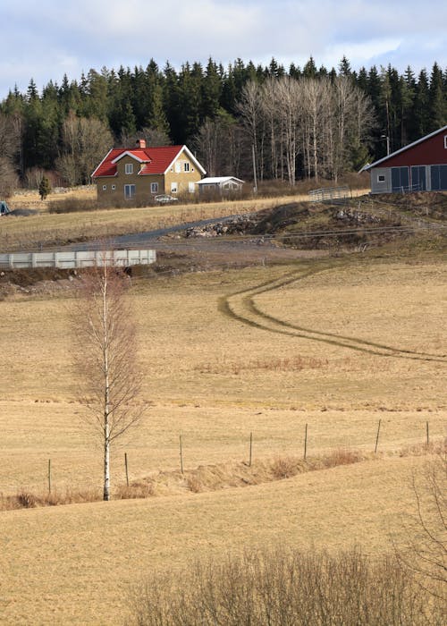 A House and a Barn on a Farm 