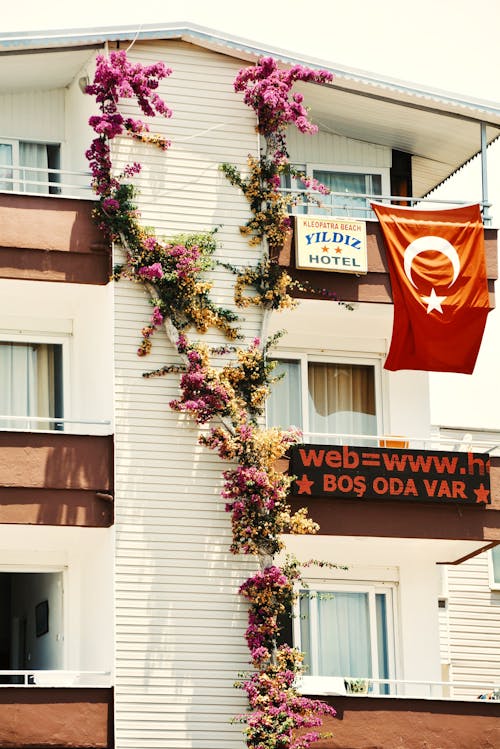 Plant and Turkey Flag on Building Facade