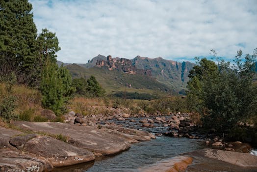 Flowing stream amid rocks and lush greenery in a mountainous landscape under a cloudy sky.