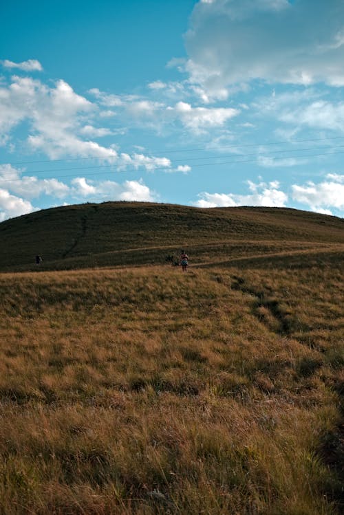 Foto profissional grátis de cenário, colina, ecológico