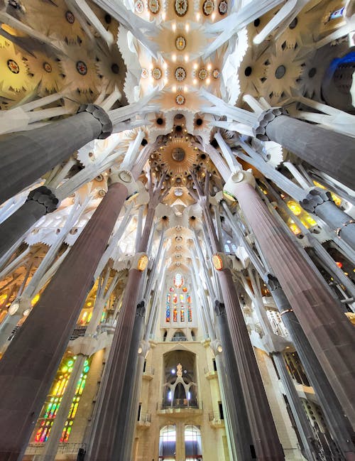 Darmowe zdjęcie z galerii z barcelona, hiszpania, katedra