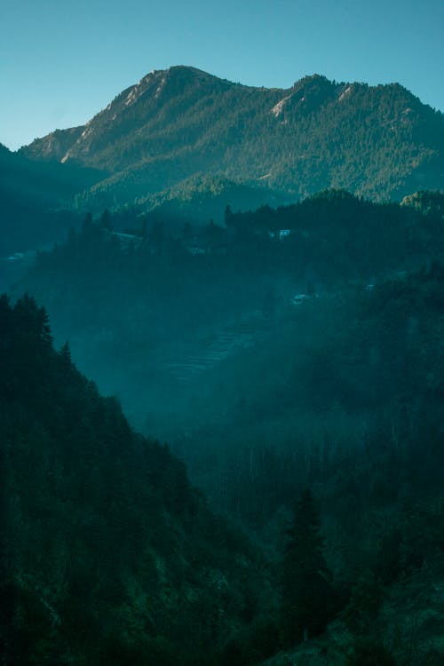 Darmowe zdjęcie z galerii z dolina, drzewa, góry
