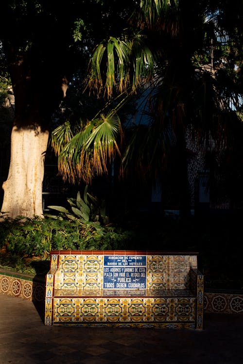 Бесплатное стоковое фото с вертикальный выстрел, листья, пальма