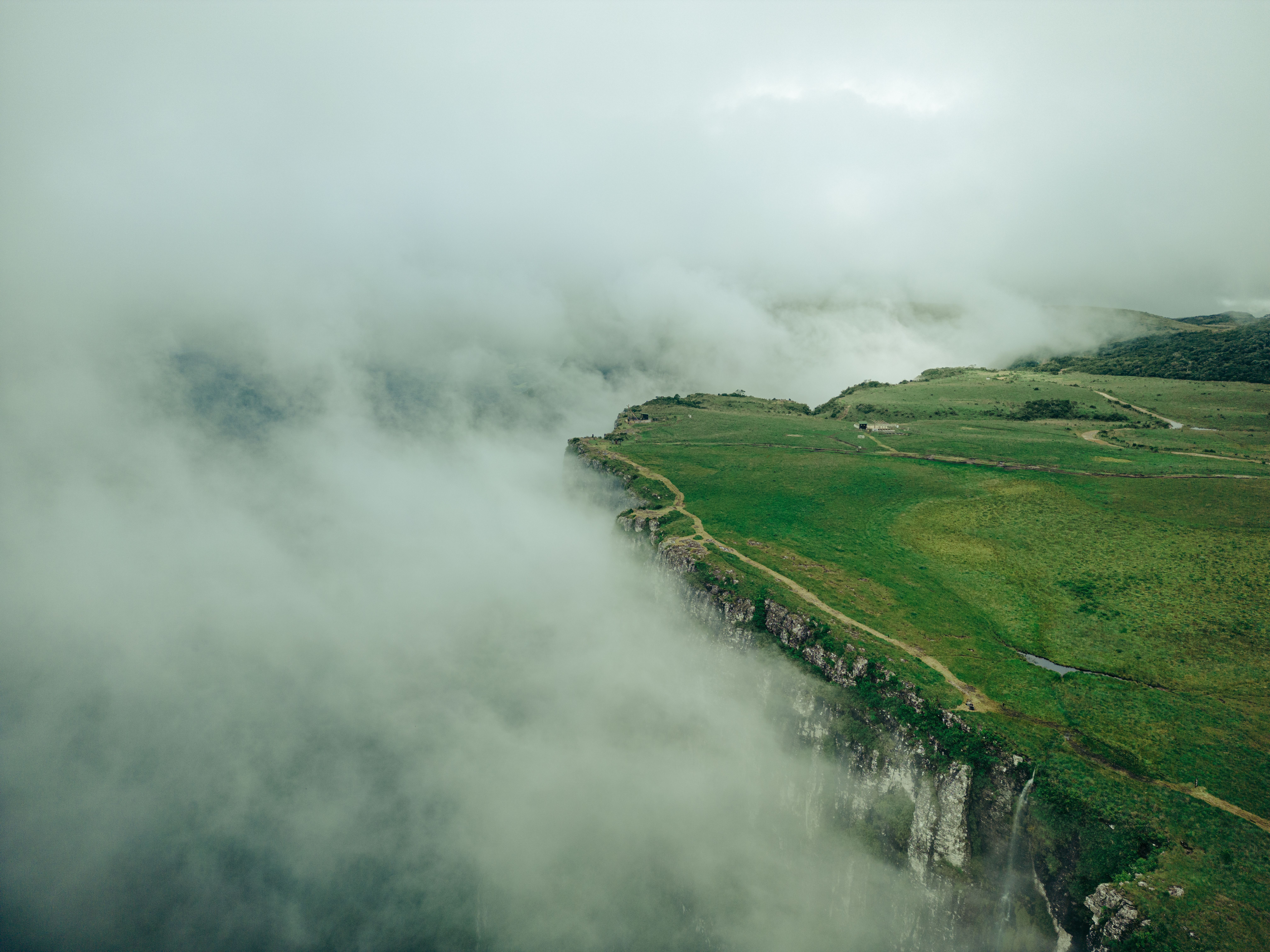 Misty and green landscape of Salalah, Oman during the Khareef season.