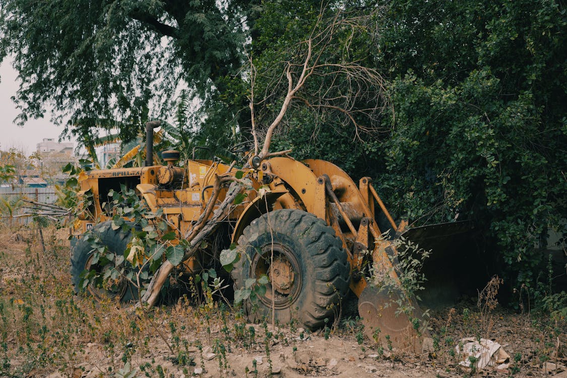 Tractor on the Farm