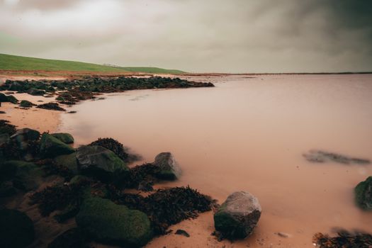 Muddy landscape