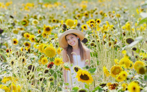 A Woman Standing in a Sunflower Field 
