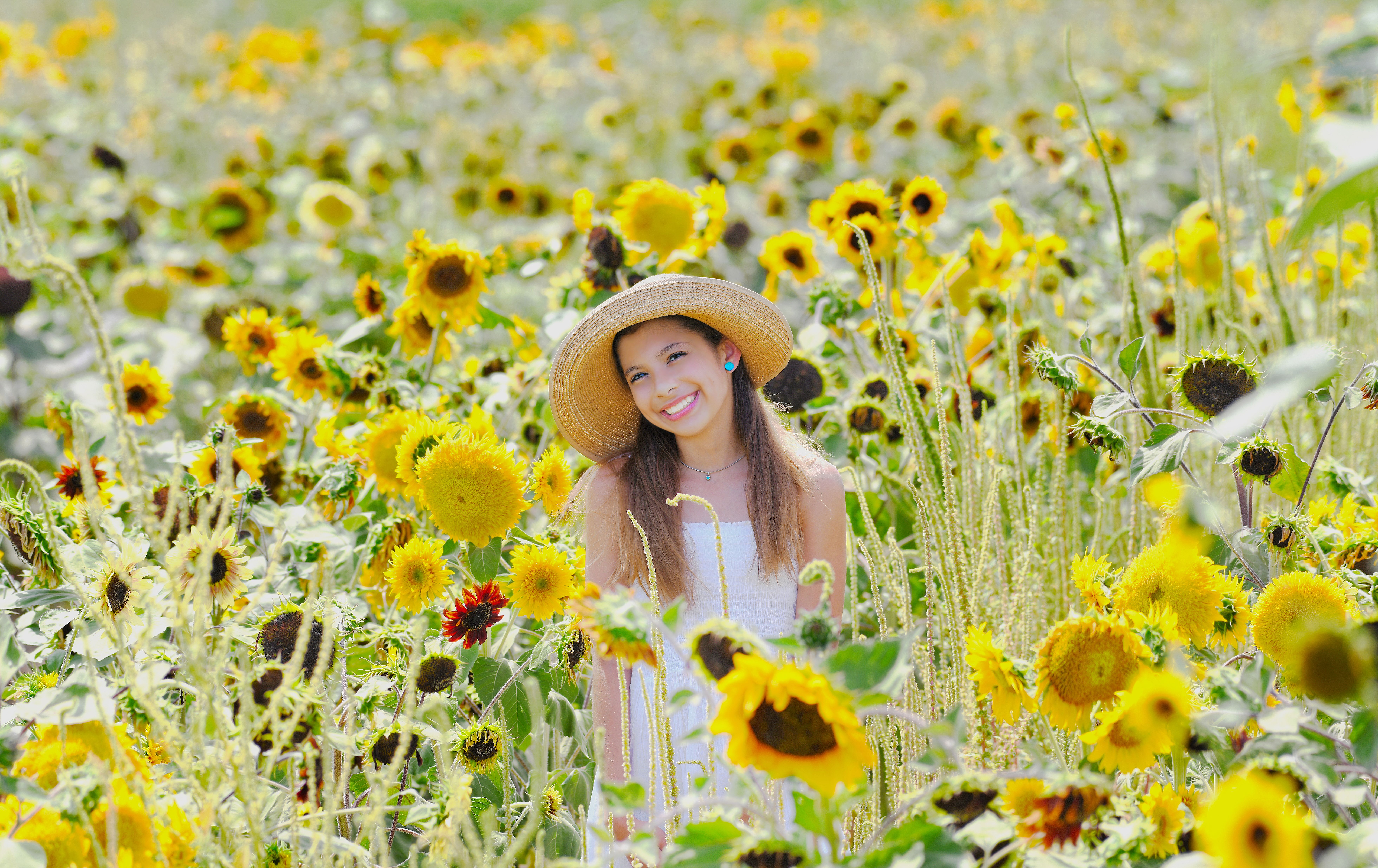 A Woman Standing in a Sunflower Field · Free Stock Photo