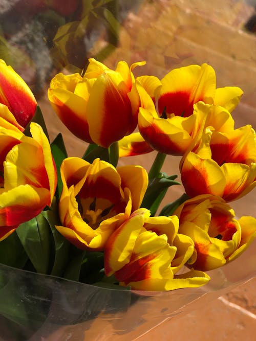 Close up of a Bouquet 