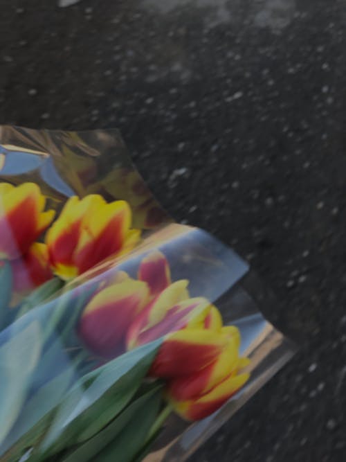 Darmowe zdjęcie z galerii z bukiet, kwiaty, pionowy strzał