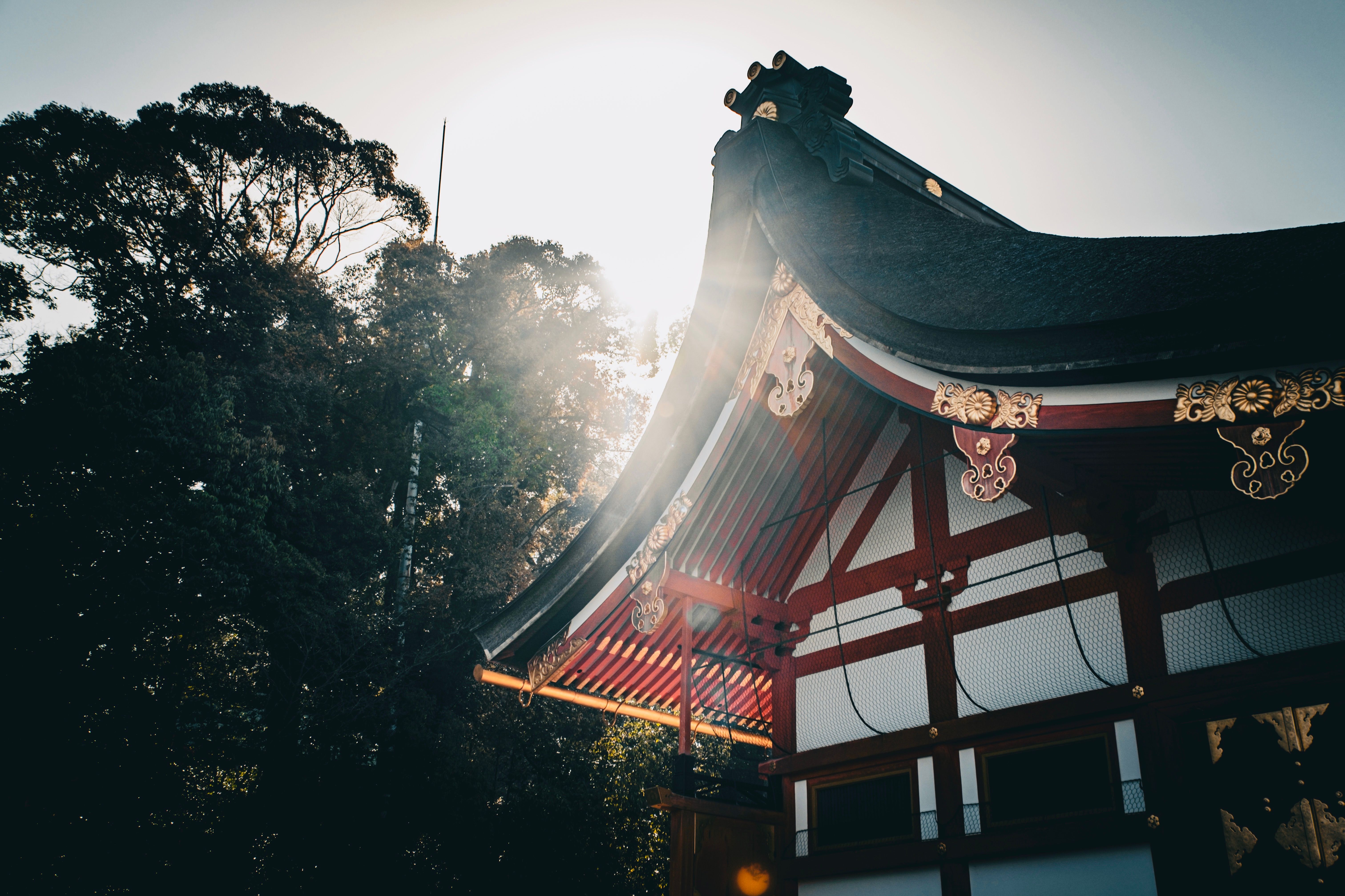 Classic Japanese armor resembles gear from Korean kingdom — Photo by Kuan-yu Huang on Pexels