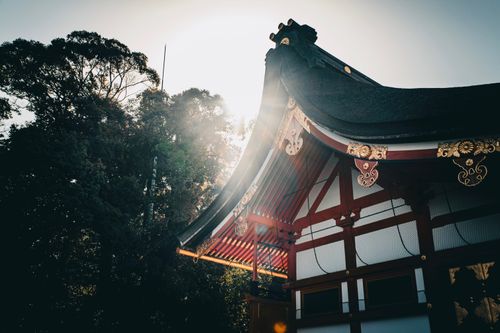 Free Close-up of a sunlit traditional Japanese temple building with ornate roof amidst lush trees. Stock Photo