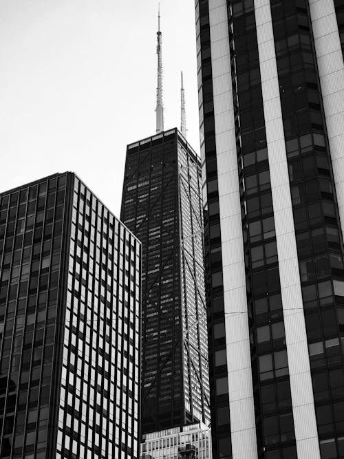 Low Angle Shot of Skyscrapers in Downtown Chicago, Illinois, USA