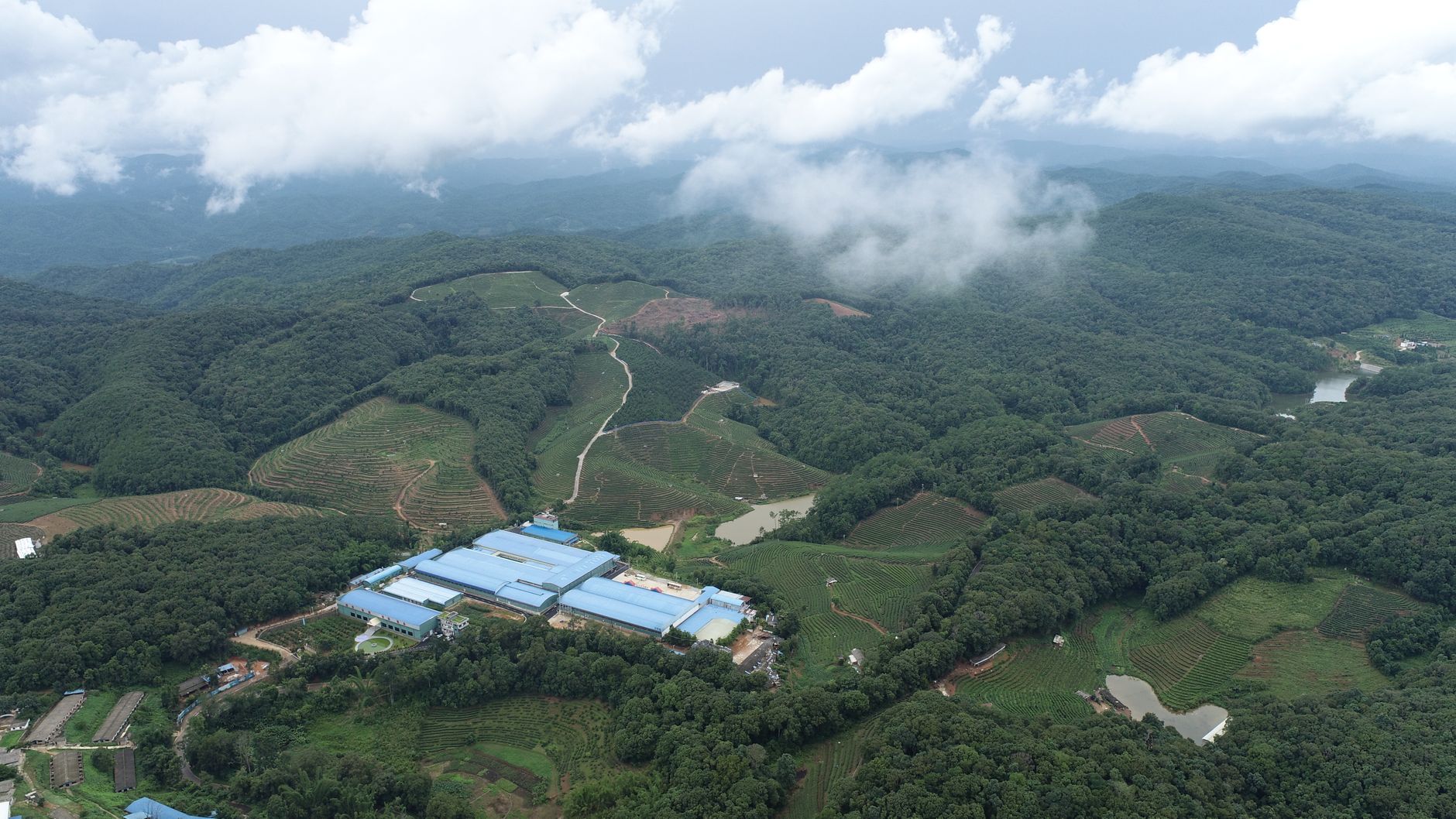 A stunning aerial view of lush fields and forests in Xishuangbanna, Yunnan, China.