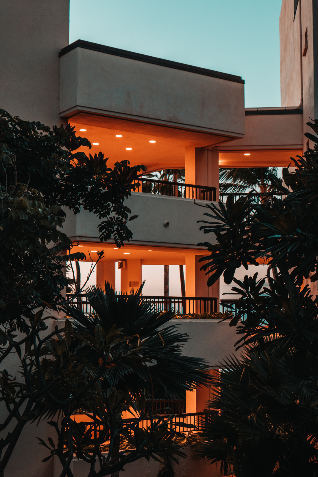 Warmly lit hotel exterior framed by trees at twilight — photo by Colin Fearing on Pexels
