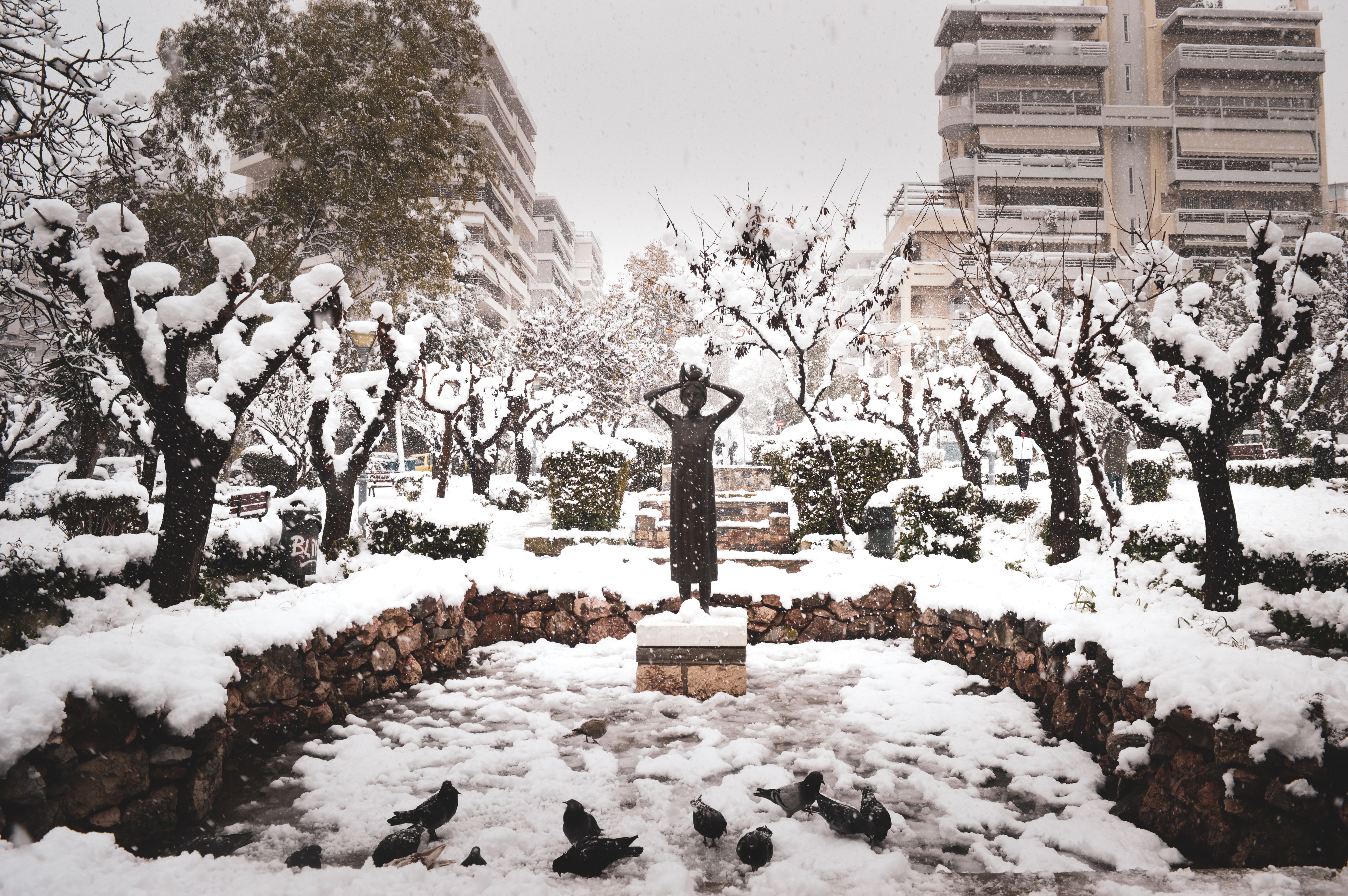 Athens in January is mild, uncrowded, and affordable. Here's what the weather is actually like and what to expect from a winter visit.