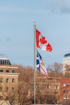 Canadian and provincial flags waving against a backdrop of urban buildings and autumn trees.