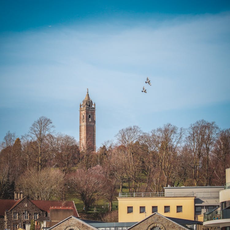 View Of The Cabot Tower Over Trees, Bristol, England 