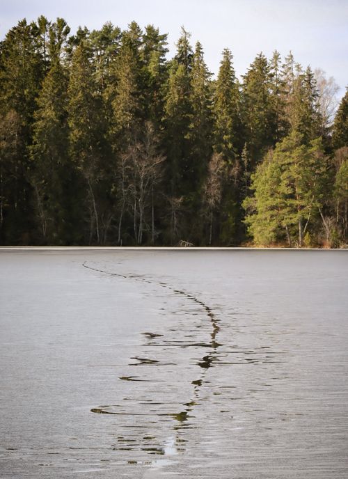 Free Peaceful scene of a frozen lake reflecting a dense coniferous forest, capturing nature's stillness. Stock Photo
