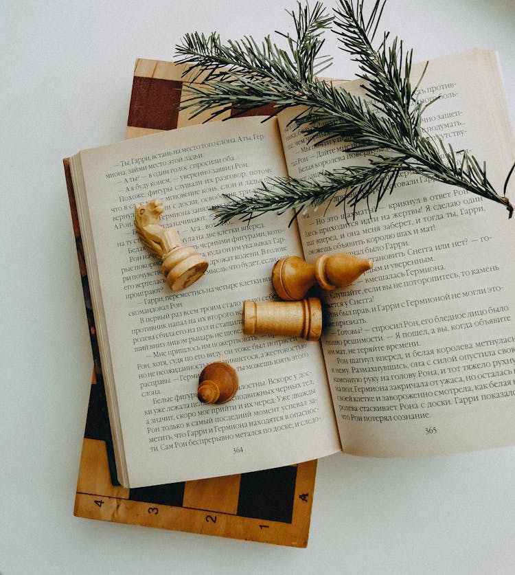 Book Lying On A Chessboard 