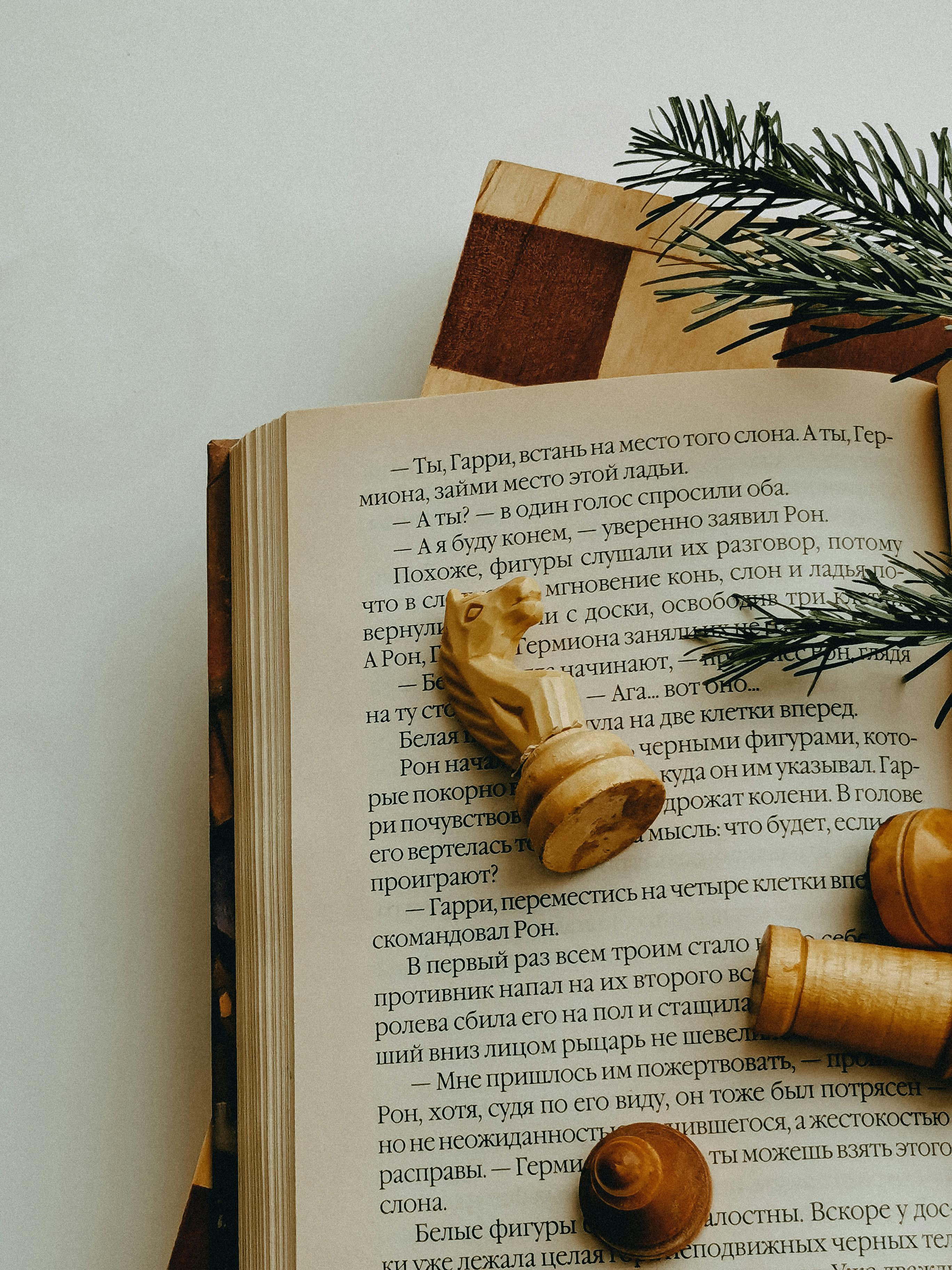 A book with chess pieces and a pine branch · Free Stock Photo