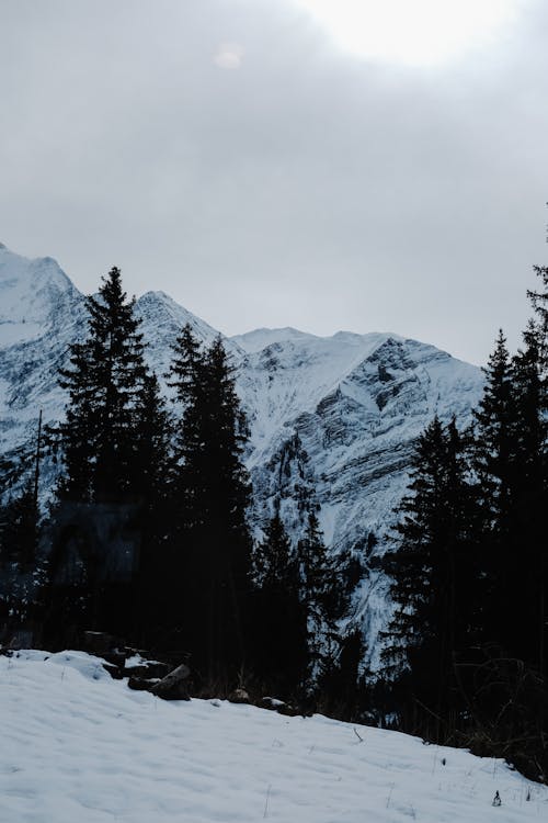 Gratis lagerfoto af bjerge, forkølelse, lodret skud