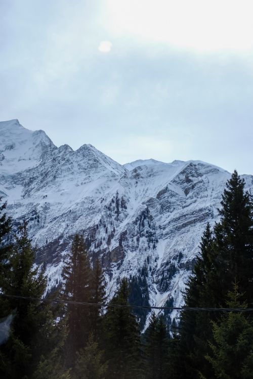 Free Scenic view of snowcapped mountains and evergreen forest in a winter landscape. Stock Photo