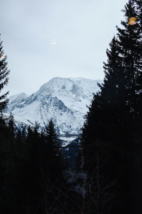 Free Stunning view of a snow-covered mountain peak surrounded by evergreen pine trees. Stock Photo