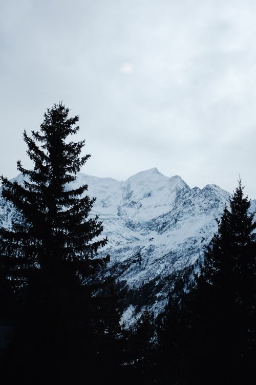 Free Serene winter view of snow-covered mountains and coniferous trees. Stock Photo