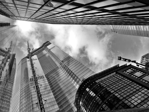 бесплатная Высотные здания в оттенках серого Стоковое фото