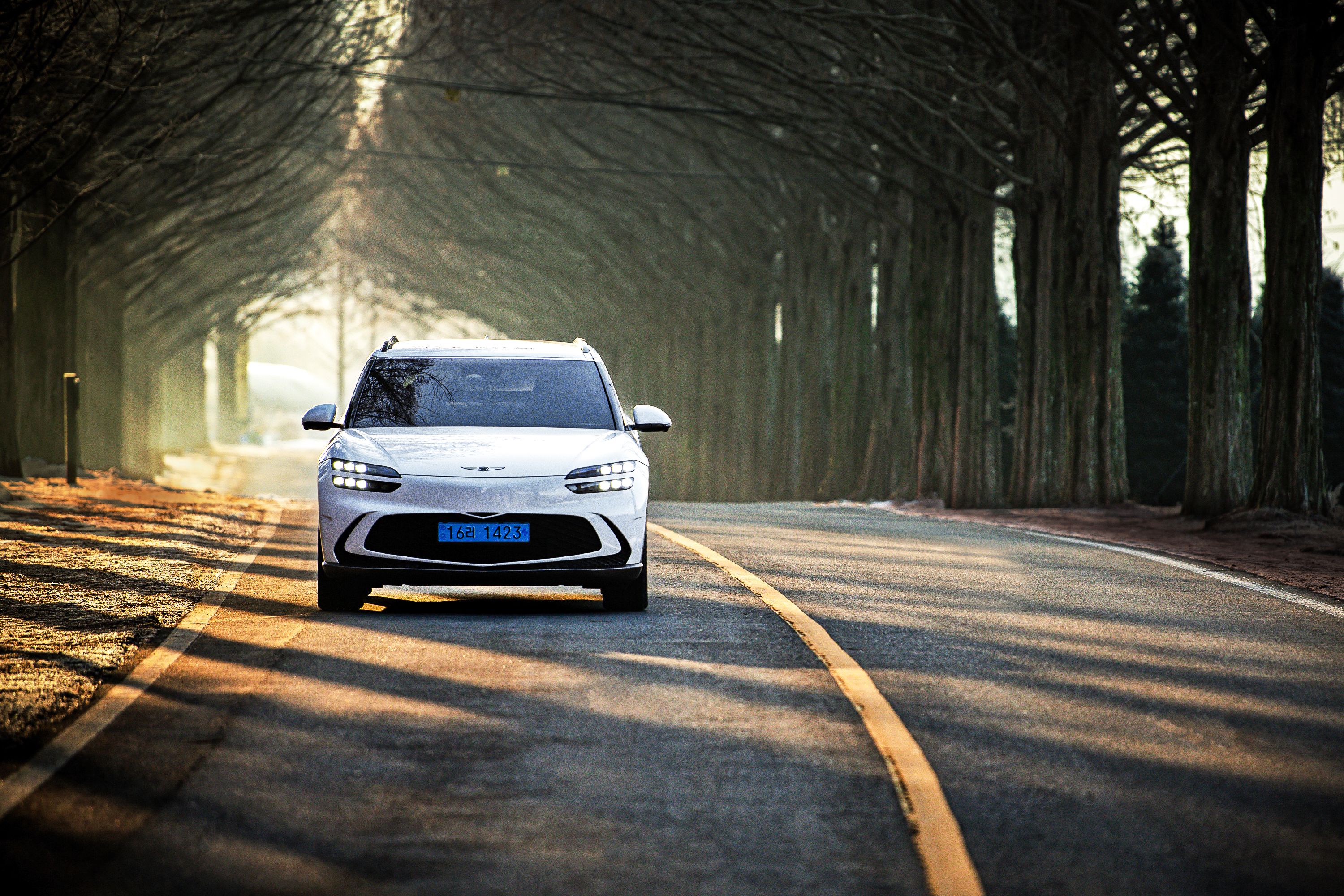 Modern car driving along a sunlit, tree-lined road in a serene outdoor setting.