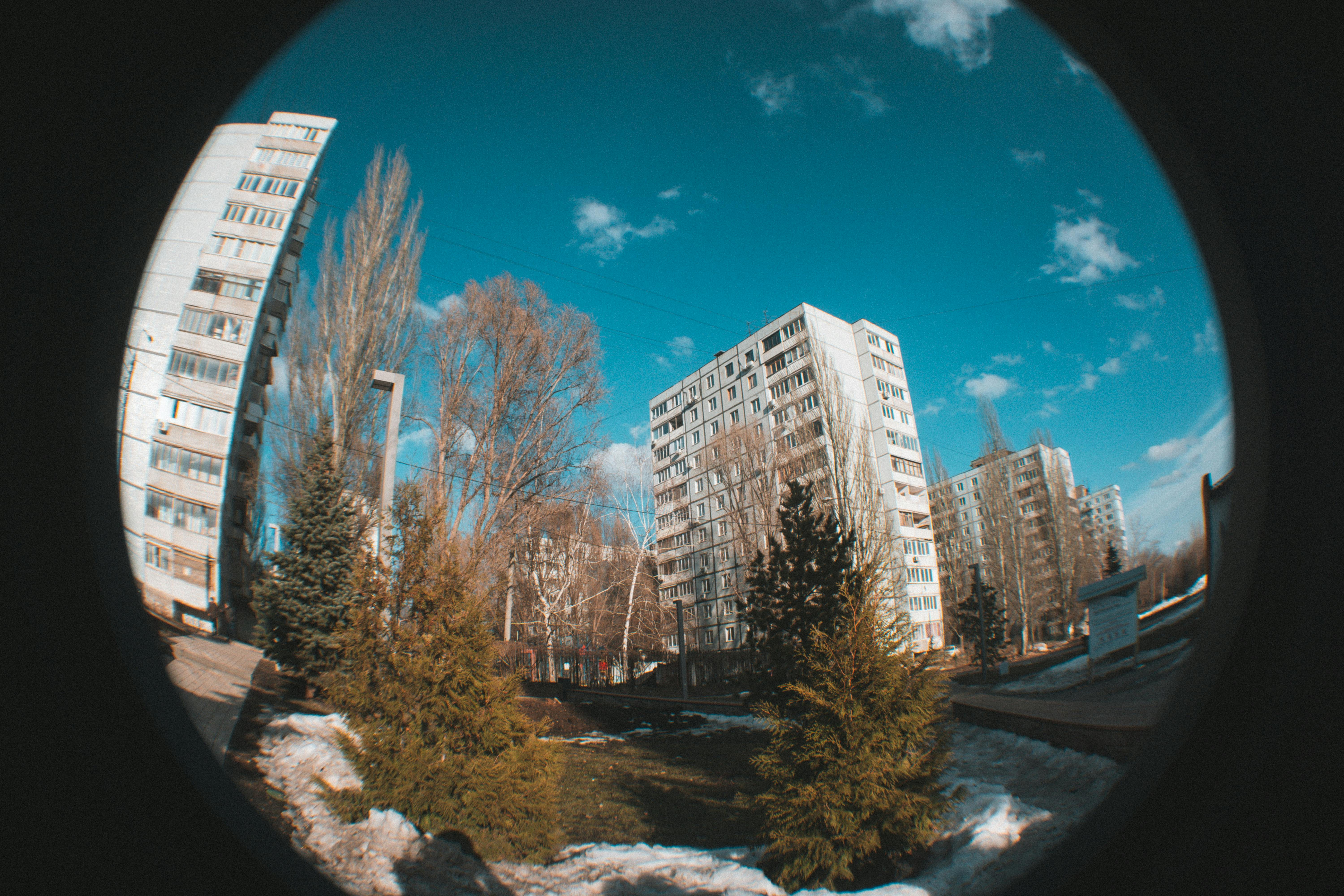 Fisheye lens captures urban high-rise buildings amidst bare winter trees and snow.