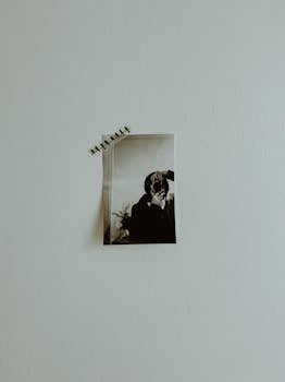 A black and white photo of a photographer pinned to a plain wall.