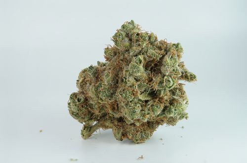 Free White Widow Stock Photo