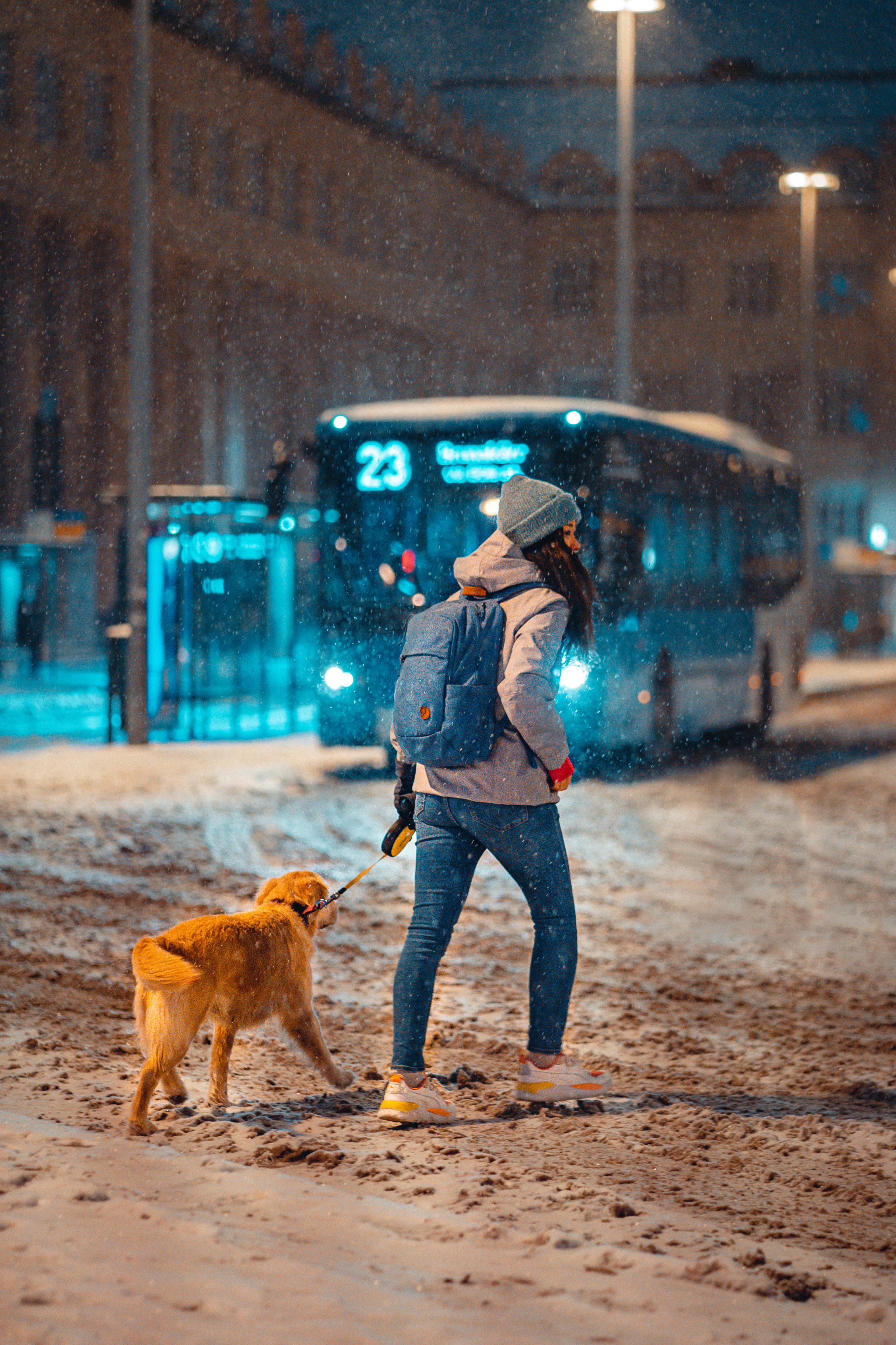A woman walks her dog on a snowy night in Helsinki, Finland. Captured with vibrant colors and urban vibe.