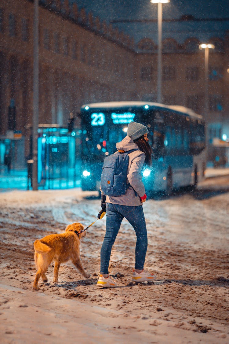 Woman Walking Dog On Street In Snow