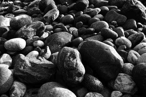 Základová fotografie zdarma na téma černobílý, detail, kameny